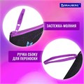 Папка для тетрадей BRAUBERG А5, 1 отделение, полиэстер, на молнии, с ручкой, "Fly Aways", 271499 271499