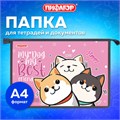 Папка для тетрадей ПИФАГОР А4, 1 отделение, картон/пластик, на молнии, "Best team", 272124 272124