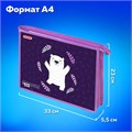 Папка для тетрадей ПИФАГОР А4, 1 отделение, картон/пластик, на молнии, "Happy bear", 272126 272126