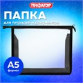 Папка для тетрадей ПИФАГОР А5, пластик, молния сверху, прозрачная, черный, 272113 272113