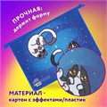 Папка для тетрадей ЮНЛАНДИЯ А4, 1 отделение, картон/пластик, конгрев, на молнии, "Ying Yang", 272132 272132