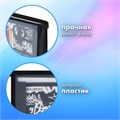 Папка для труда BRAUBERG А4, 2 отделения, пластик, молния сверху, органайзер, "Graffiti", 272215 272215
