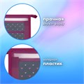 Папка для труда на молнии BRAUBERG А4, 2 отделения, органайзер, "Shining heart", 272210 272210