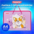 Папка для труда на молнии с ручками ПИФАГОР А4, 1 отделение, пластик, органайзер, "Fluffy akita", 272227 272227