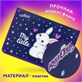 Папка для труда на молнии ЮНЛАНДИЯ А4, 1 отделение, откидная планка, органайзер, "Fluffy tail", 272220 272220