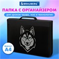 Папка на молнии BRAUBERG А4 с ручкой, с органайзером, 1 отделение, "Husky", 271450 271450