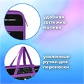 Папка на молнии с ручками BRAUBERG А4, 1 отделение, пластик, 80 мм, "Dream cat", 270868 270868