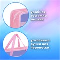 Папка на молнии с ручками BRAUBERG А4, 1 отделение, пластик, 80 мм, "Meow", 272163 272163