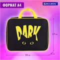 Папка на молнии с ручками BRAUBERG А4, 1 отделение, полиэстер, 80 мм, "Dark cat", 272178 272178
