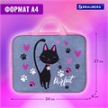 Папка на молнии с ручками BRAUBERG А4, 1 отделение, полиэстер, 80 мм, "Elegant cat", 271481 271481