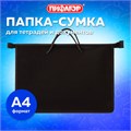 Папка на молнии с ручками ПИФАГОР, А4, 1 отделение, пластик, 55 мм, черная, 228236 228236