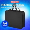 Папка на молнии с ручками ПИФАГОР, А4, 1 отделение, пластик, 75 мм, черная, 272110 272110