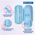 Пенал BRAUBERG, 1 отделение, 1 откидная планка, EVA 3D, 22х10х5 см, "Humster", 270702 270702