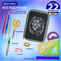 Пенал BRAUBERG, 2 отделения, полиэстер, 21х14 см, "Savage lion", 272331 272331
