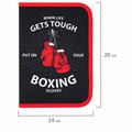 Пенал ПИФАГОР, 1 отделение, 2 откидные планки, полиэстер, 20х14 см, "Boxing", 272289 272289