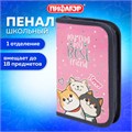 Пенал ПИФАГОР, 1 отделение, ламинированный картон, 19х11 см, "Best team", 272240 272240