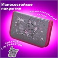 Пенал ЮНЛАНДИЯ, 1 отделение, металлизированный картон, конгрев, 19х11 см, "Meow", 271103 271103