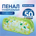 Пенал-косметичка BRAUBERG LUCENT на молнии, прозрачный, "Avocado", 21х5х9 см, 270054 270054