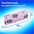 Пенал-косметичка ПИФАГОР, мягкий, "BEAR", прямоугольный, 20х7х4 см, 229266 229266