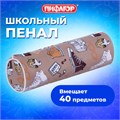Пенал-тубус ПИФАГОР, мягкий, "HOLIDAY", 20х7 см, 229269 229269