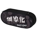 Пенал-футляр BRAUBERG, 1 отделение, органайзер, полиэстер, 22x9x5 см, "Emotions", 271588 271588