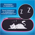 Пенал-футляр BRAUBERG, 1 отделение, органайзер, полиэстер, 22x9х5 см, "Don't wake up", 272311 272311