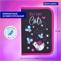 Пенал BRAUBERG с наполнением, 1 отделение, 1 откидная планка, 24 предмета, 21х14 см, "Cats first", 271525 271525