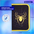 Пенал BRAUBERG с наполнением, 1 отделение, 1 откидная планка, 24 предмета, 21х14 см, "Venomous spider", 271526 271526