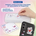 Пенал пластиковый BRAUBERG, серый, наклейки в комплекте, 21х9х3 см, 272273 272273