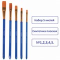 Кисти ПИФАГОР, набор 5 шт. (СИНТЕТИКА: плоские № 1, 2, 3, 4, 5), пакет с европодвесом, 200888 200888