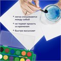 Краски акварельные BRAUBERG KIDS, 12 ярких цветов, круглые кюветы, пластиковый пенал, 191806 191806