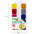 Краски акварельные BRAUBERG KIDS, медовые, 20 цветов, квадратные кюветы, пластиковый пенал, 192283 192283