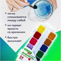 Краски акварельные BRAUBERG KIDS, медовые, 24 цвета, квадратные кюветы, пластиковый пенал, 192284 192284