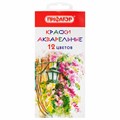 Краски акварельные ПИФАГОР 12 цветов, медовые, круглые кюветы, 192549 192549