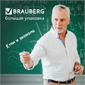 Мел белый круглый мягкий 100 штук, BRAUBERG "АКАДЕМИЯ", картонная упаковка (АЛГЕМ), 271146 271146