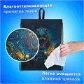 Мешок для обуви BRAUBERG KIDS, с петлей, 42х34 см, "Dino chase", 272416 272416