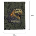 Мешок для обуви BRAUBERG PREMIUM, карман, подкладка, светоотражайка, 43х33 см, Dino attack, 272424 272424