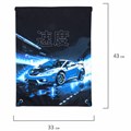 Мешок для обуви BRAUBERG PREMIUM, карман, подкладка, светоотражайка, 43х33 см, Night race, 272425 272425