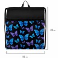 Мешок для обуви BRAUBERG БОЛЬШОЙ, с ручкой, карман на молнии, сетка, 49х41 см, "Fly aways", 272402 272402