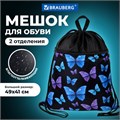 Мешок для обуви BRAUBERG БОЛЬШОЙ, с ручкой, карман на молнии, сетка, 49х41 см, "Fly aways", 272402 272402