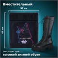 Мешок для обуви BRAUBERG, с петлёй, карман на молнии, 47х37 см, "Movie time", 270910 270910