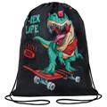 Мешок для обуви ПИФАГОР, 1 отделение, 40х32 см, "T-Rex", 271606 271606