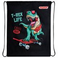 Мешок для обуви ПИФАГОР, 1 отделение, 40х32 см, "T-Rex", 271606 271606