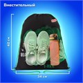 Мешок для обуви ПИФАГОР, 1 отделение, 42х34 см, "Dino roar", 272387 272387
