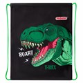 Мешок для обуви ПИФАГОР, 1 отделение, 42х34 см, "Dino roar", 272387 272387
