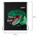 Мешок для обуви ПИФАГОР, 1 отделение, 42х34 см, "Dino roar", 272387 272387