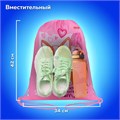 Мешок для обуви ПИФАГОР, 1 отделение, 42х34 см, "Fluffy akita", 272385 272385
