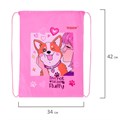 Мешок для обуви ПИФАГОР, 1 отделение, 42х34 см, "Fluffy akita", 272385 272385