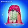 Мешок для обуви ПИФАГОР, 1 отделение, 42х34 см, "Panda time", 271601 271601