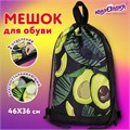 Мешок для обуви ЮНЛАНДИЯ, с ручками, боковой карман на молнии, 46х36 см, "Fresh", 271063 271063
